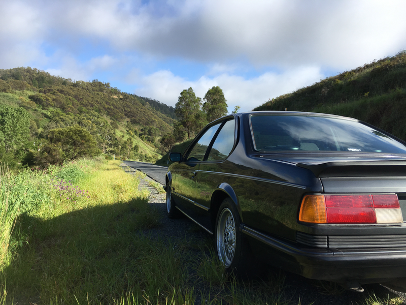 Illustration for article titled BMW 635CSi. Adelaide Hills. Springtime. Goodtime.